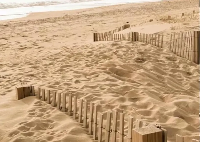 Apartment Imagine That! Stunning Modern 4br-3ba Luxury Retreat Ocean City